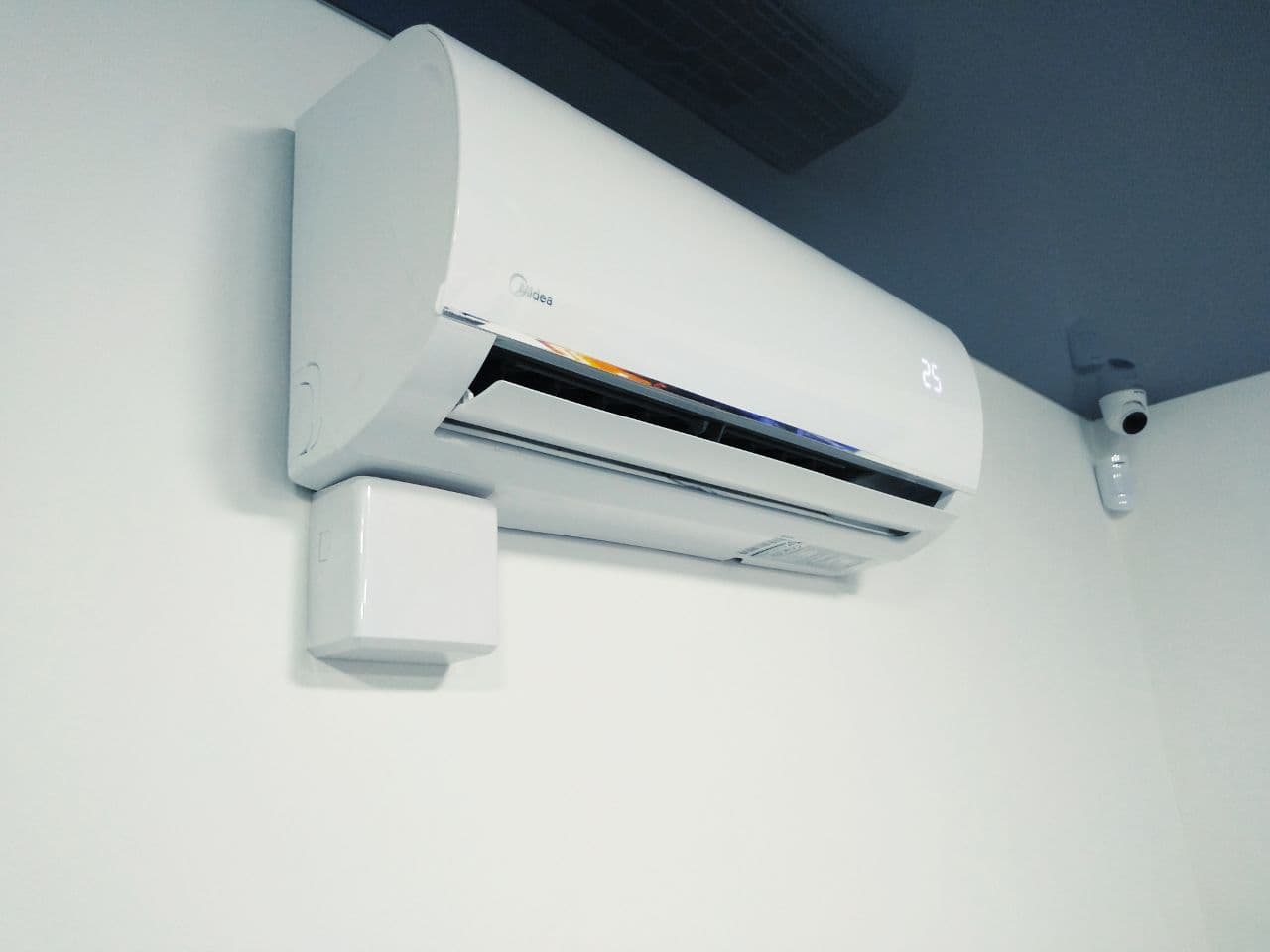 photo_2021-01-20_15-17-31