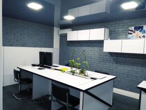 photo_2021-01-20_15-17-45